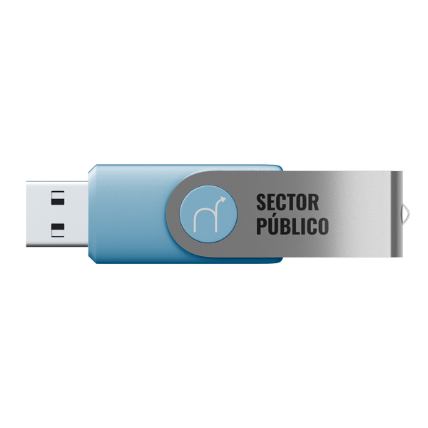 Sector Público