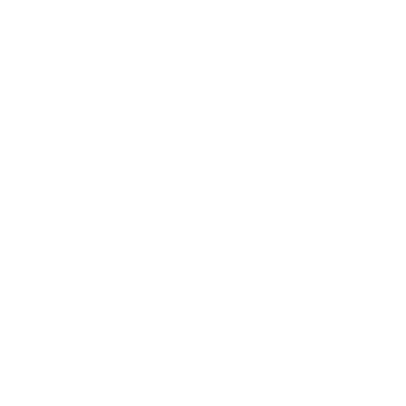 PRO SERVICE