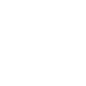 Sociograph